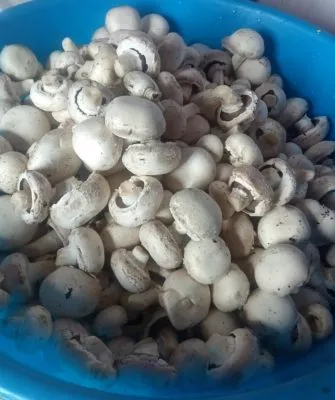 Консервирование шампиньонов дома