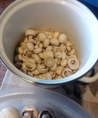 Консервирование шампиньонов дома