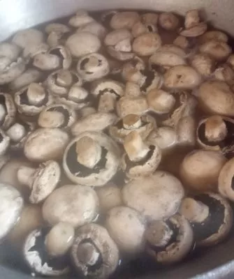 Консервирование шампиньонов дома