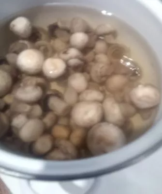 Консервирование шампиньонов дома