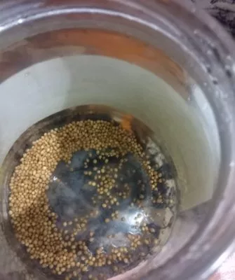 Консервирование шампиньонов дома