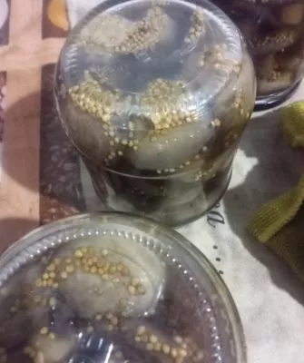 Консервирование шампиньонов дома