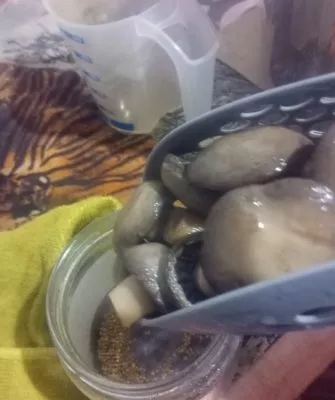 Консервирование шампиньонов дома