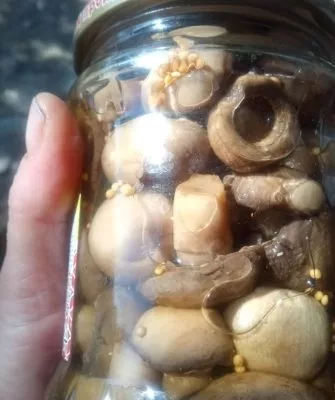 Консервирование шампиньонов дома