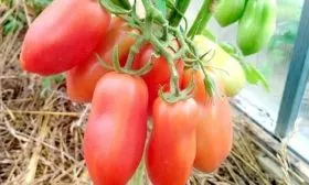 Ключевые характеристики