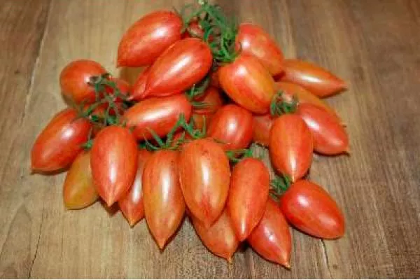 Konfety-Sladkiye-sosulyki_урожай