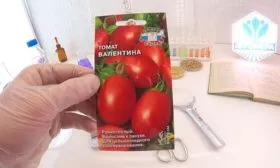 Происхождение, регионы и климат