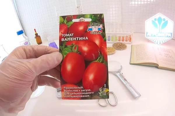 Происхождение, регионы и климат