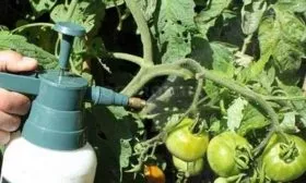 Обработка и профилактика от заболеваний и вредителей