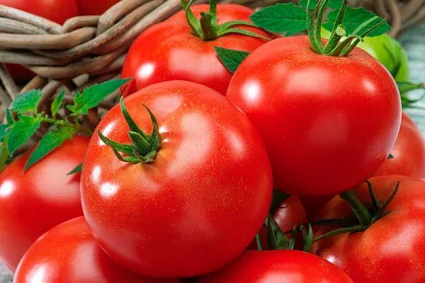 Описание куста и плодов