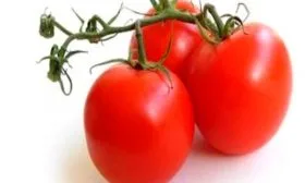 Описание кустов и плодов