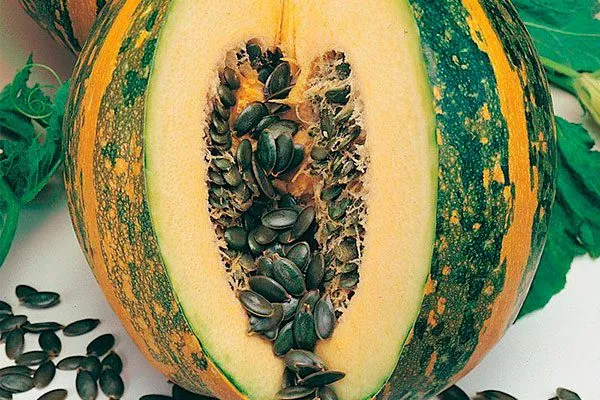 Описание плодов и растения