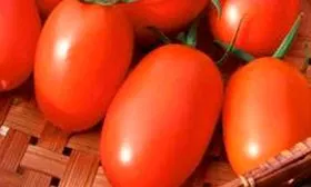 Описание растения и плодов3