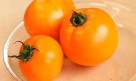 Описание сорта