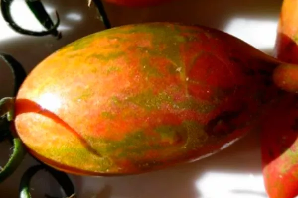 Описание сорта томата Конфеты Сладкие сосульки2