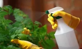 Защита от вредителей