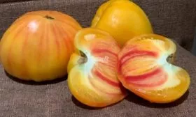 Особенности посадки и ухода