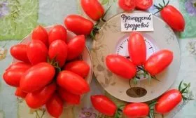 Плоды, их вкусовые качества и назначение