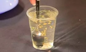 Подбор семенного материала и его подготовка