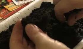 Подготовка и посев