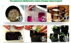 Подготовка и посев семенного материала