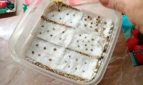 Подготовка к посеву