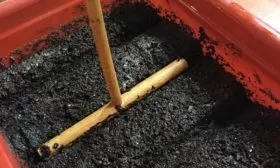 Подготовка почвы