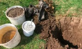 Подготовка почвы и посадочной ямы