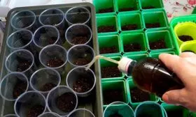 Подготовка посадочной тары