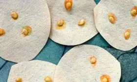 Подготовка-семян