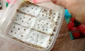 Подготовка семян