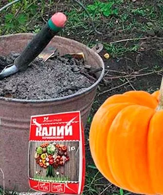 Подкормки