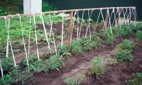 Подвязывание