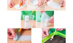 Посев необычным способом