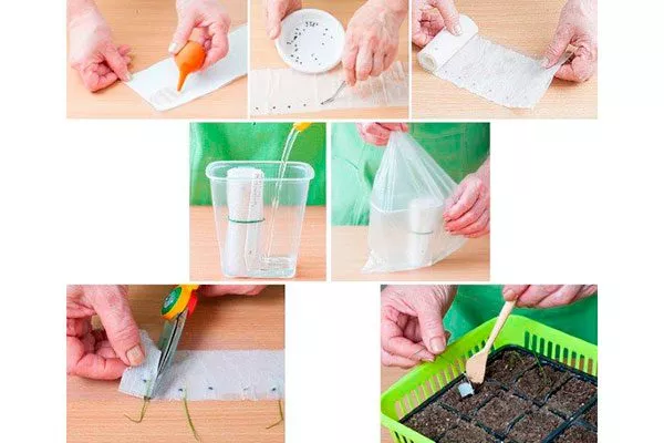 Посев необычным способом