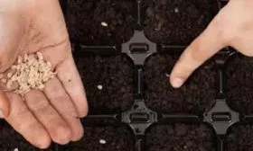 Правила-посева,-сроки