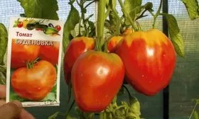 Томат Будёновка1