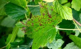 Профилактика болезней