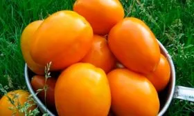 Сбор-и-хранение