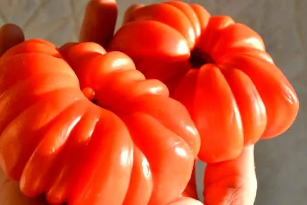 Сбор и хранение