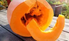 Полезные свойства