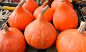 Сбор и хранение урожая