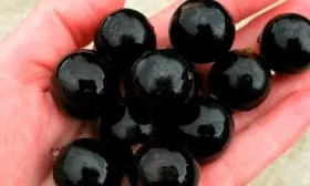 Вкус и назначение ягод