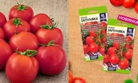 tomat-zapunyaka-5