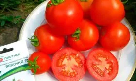 Как собрать урожай