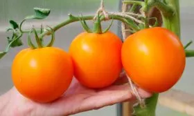 Характеристики