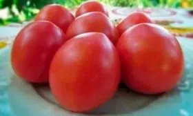 Вкус и область использования томатов