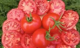 Вкусовые-свойства,-тонкости-использования