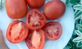 Вкусовые-свойства,-тонкости-использования2