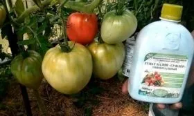 Внесение подкормок